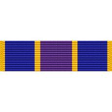 New York National Guard Counterdrug Ribbon